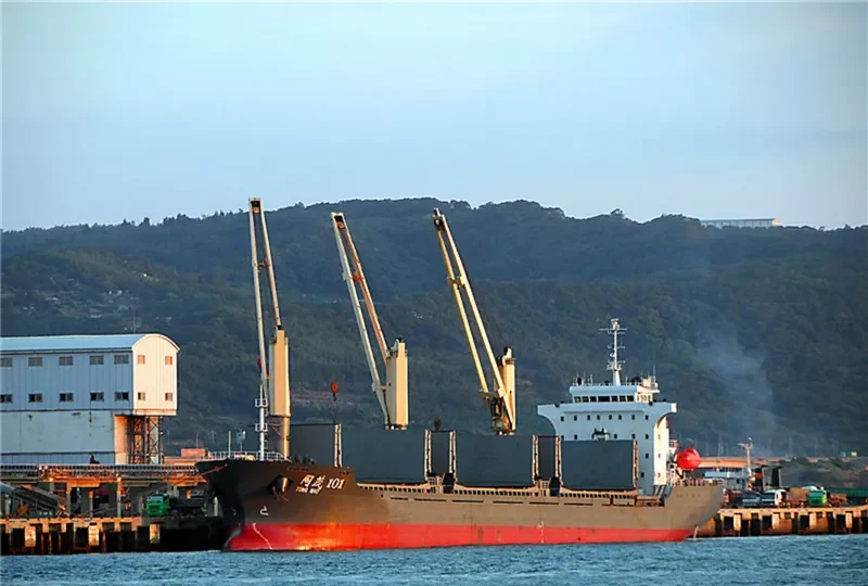 TONG MAO 101 General Cargo IMO 9563756 photo 5