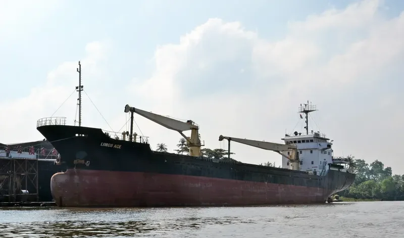 LIMCO ACE Bulk Carrier IMO 9563885
