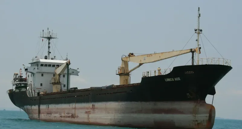 LIMCO ACE Bulk Carrier IMO 9563885 photo 4