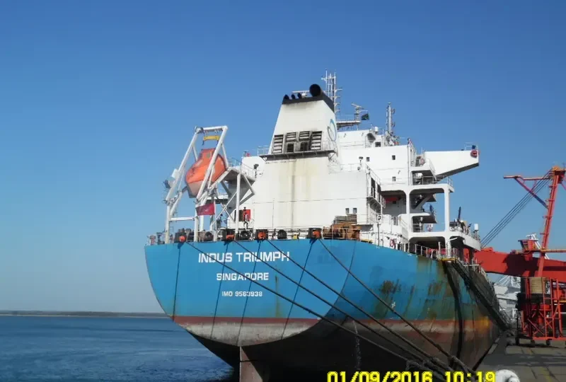 INDUS TRIUMPH Bulk Carrier IMO 9563938 photo 2