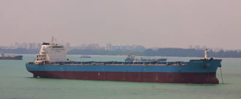 INDUS VICTORY Bulk Carrier IMO 9563940 photo 2