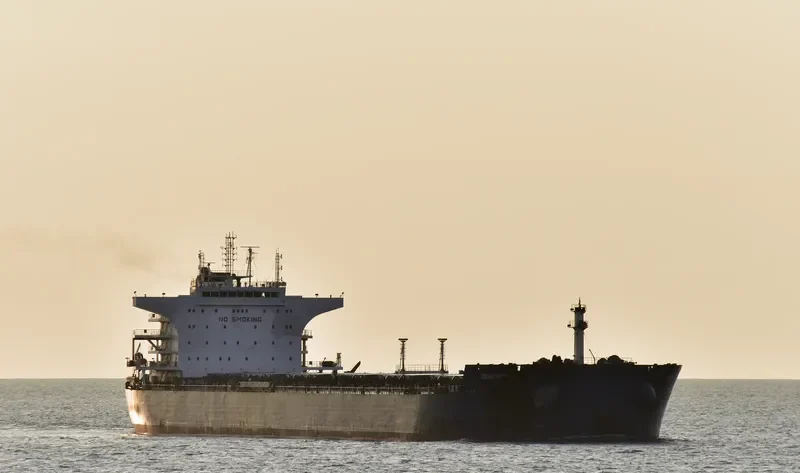 INDUS VICTORY Bulk Carrier IMO 9563940 photo 4