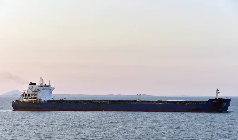 INDUS VICTORY Bulk Carrier IMO 9563940 photo 5