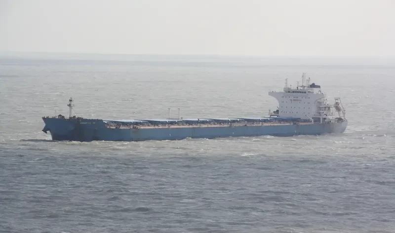 INDUS VICTORY Bulk Carrier IMO 9563940 photo 8