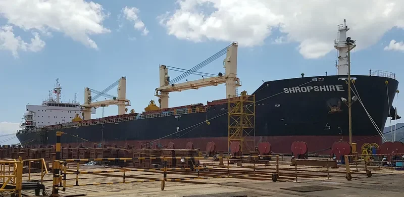 HONG YAN General Cargo IMO 9564073