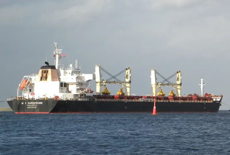 HONG YAN General Cargo IMO 9564073 photo 6