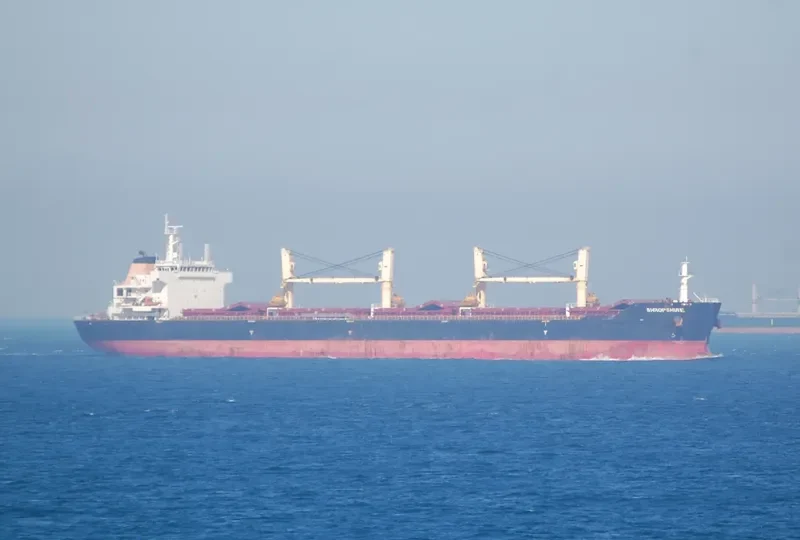 HONG YAN General Cargo IMO 9564073 photo 9