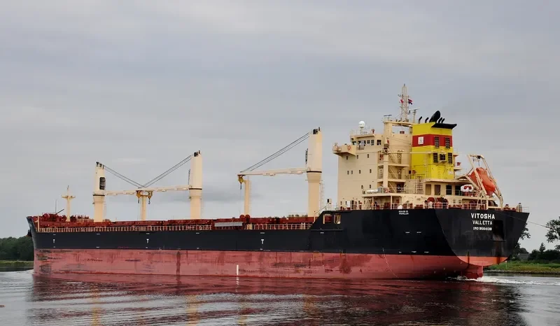 VITOSHA Bulk Carrier IMO 9564138 photo 4