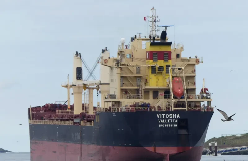 VITOSHA Bulk Carrier IMO 9564138 photo 6