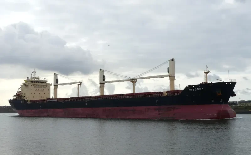 VITOSHA Bulk Carrier IMO 9564138 photo 8