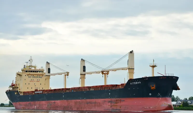 VITOSHA Bulk Carrier IMO 9564138 photo 9