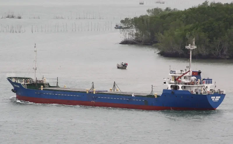 MOON BRIGHT Bulk Carrier IMO 9564164