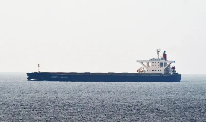 MOUNT SONG Bulk Carrier IMO 9564279