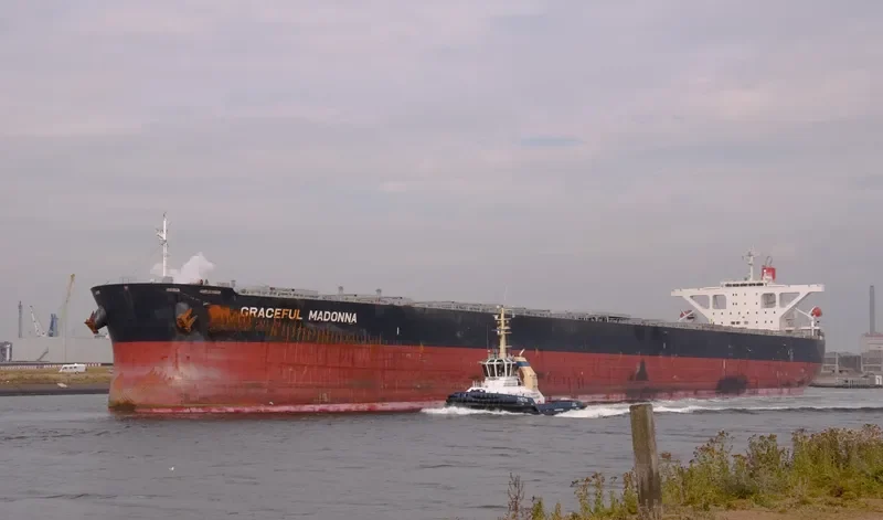 MOUNT SONG Bulk Carrier IMO 9564279 photo 4