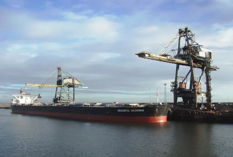 MOUNT SONG Bulk Carrier IMO 9564279 photo 5