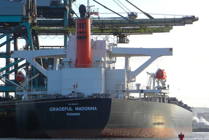 MOUNT SONG Bulk Carrier IMO 9564279 photo 6