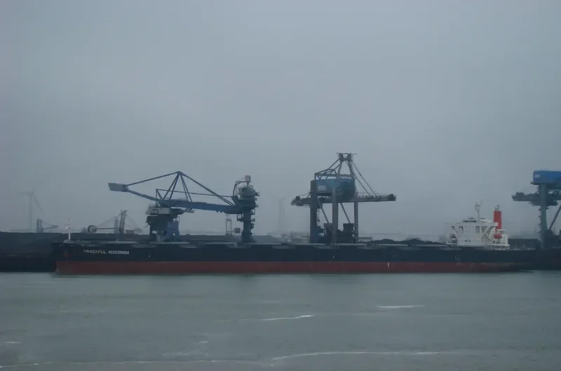 MOUNT SONG Bulk Carrier IMO 9564279 photo 8