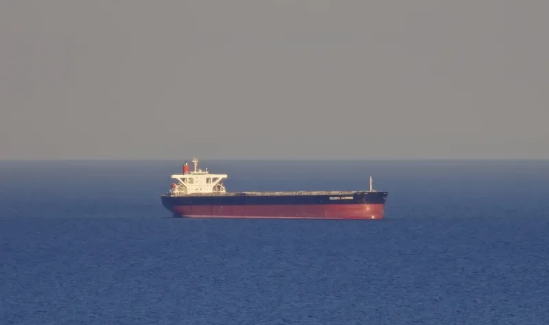 MOUNT SONG Bulk Carrier IMO 9564279 photo 9