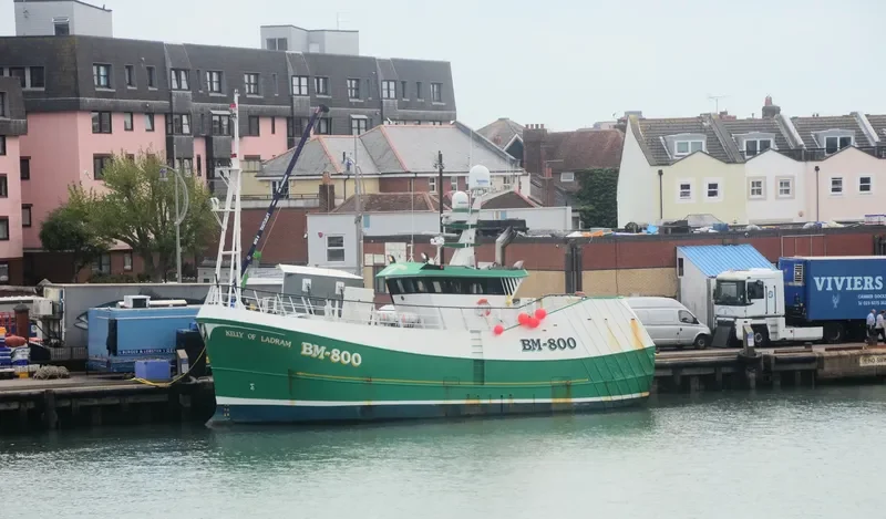 KELLY OF LADRAM General Cargo IMO 9564566 photo 4