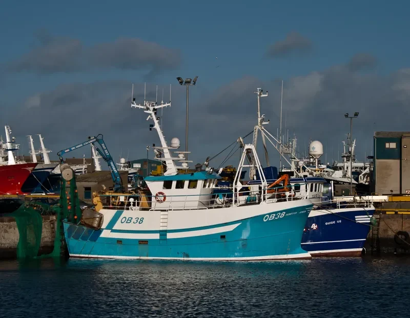 REBECCA JENEEN General Cargo IMO 9564619 photo 5