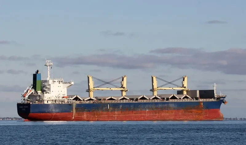 BOLD VOYAGER Bulk Carrier IMO 9565053