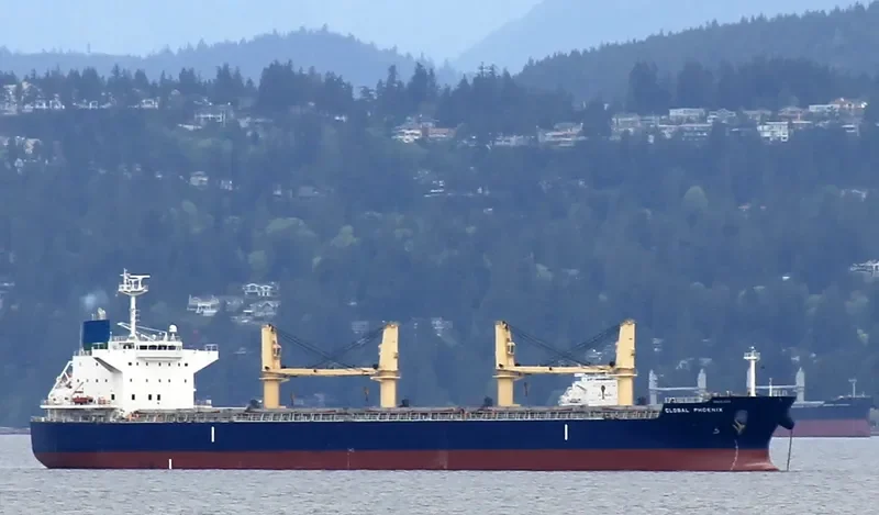 BOLD VOYAGER Bulk Carrier IMO 9565053 photo 4