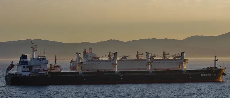 CHRIS Bulk Carrier IMO 9565118 photo 2
