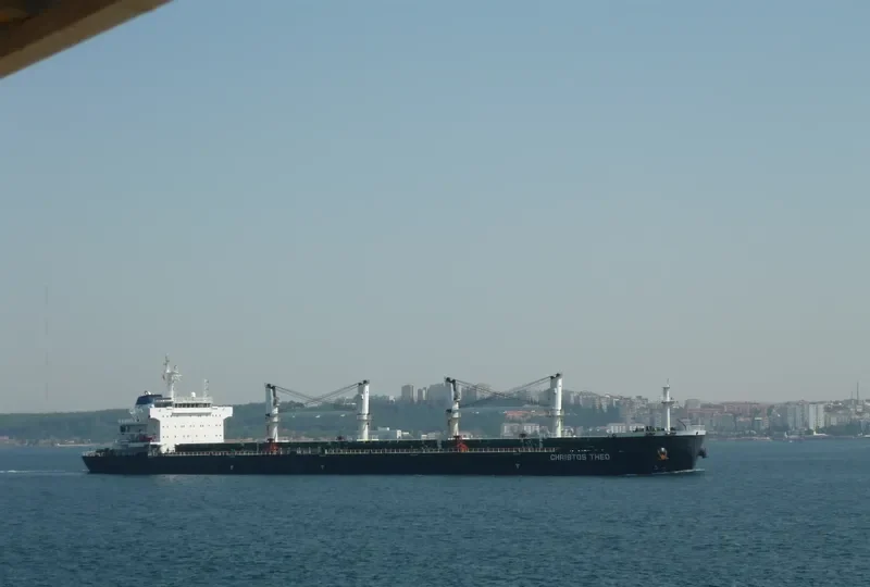 CHRIS Bulk Carrier IMO 9565118 photo 5