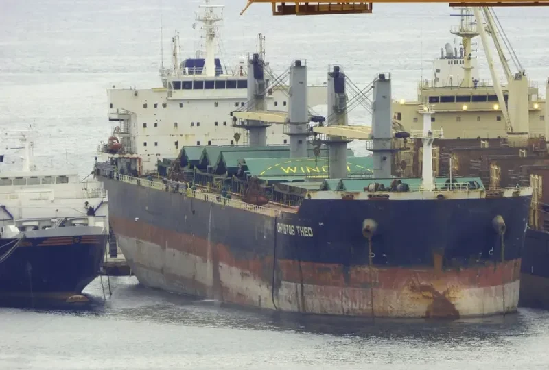 CHRIS Bulk Carrier IMO 9565118 photo 8