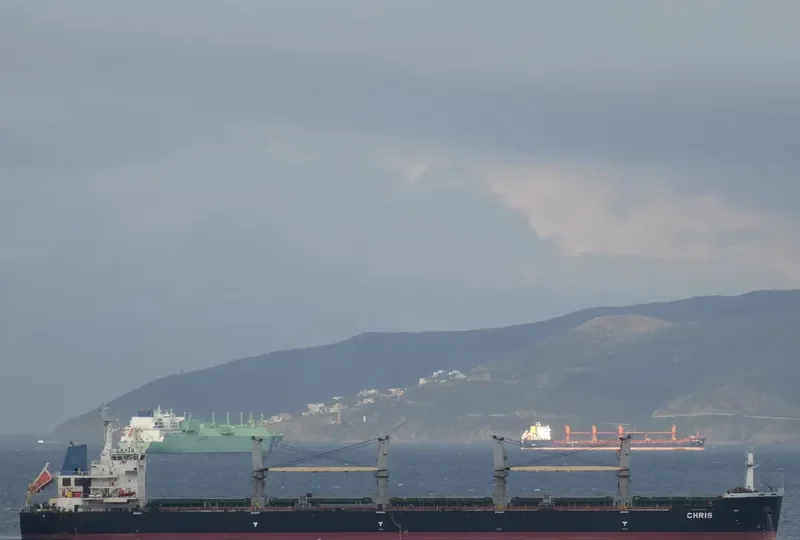 CHRIS Bulk Carrier IMO 9565118 photo 9
