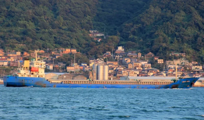 CHUN WEI General Cargo IMO 9565120 photo 2