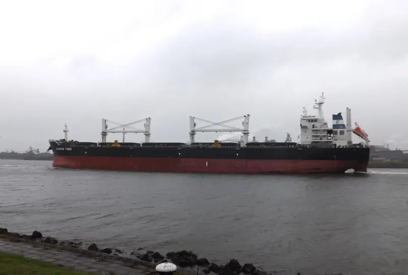 IOANNIS THEO Bulk Carrier IMO 9565170 photo 8