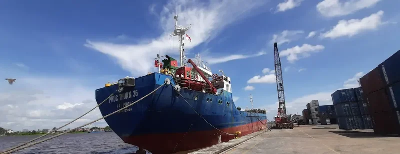 PHUC THUAN 36 Bulk Carrier IMO 9565259