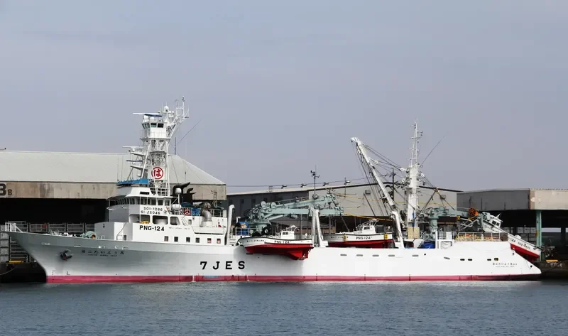TAIYO MARU NO.2 General Cargo IMO 9565364