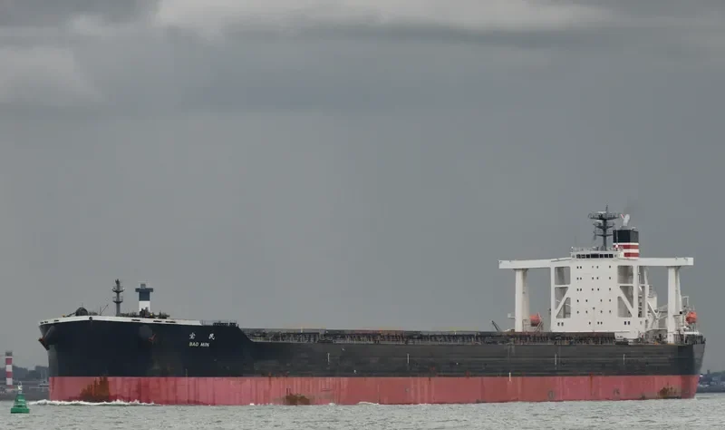 BAO MIN Bulk Carrier IMO 9565510