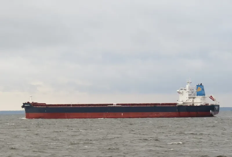 MICHALIS L Bulk Carrier IMO 9565704 photo 5