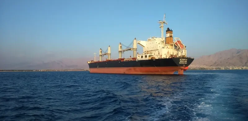 DESTINY Bulk Carrier IMO 9565716