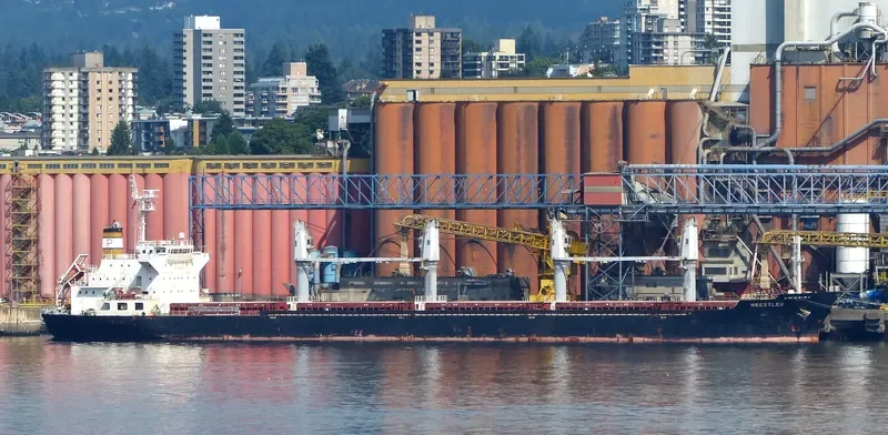 DESTINY Bulk Carrier IMO 9565716 photo 3