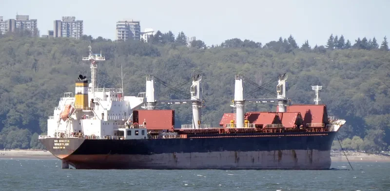 DESTINY Bulk Carrier IMO 9565716 photo 5