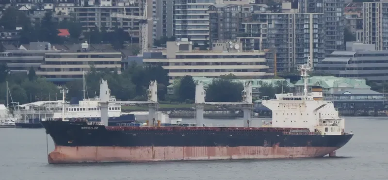 DESTINY Bulk Carrier IMO 9565716 photo 6