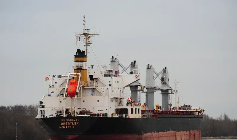 DESTINY Bulk Carrier IMO 9565716 photo 9