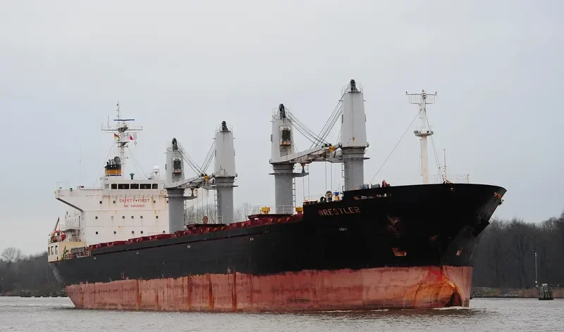 DESTINY Bulk Carrier IMO 9565716 photo 10