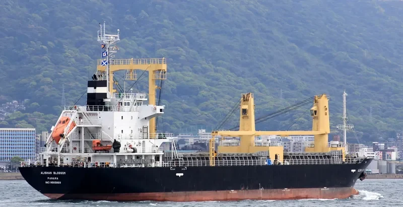 BOHWA PIONEER General Cargo IMO 9565869