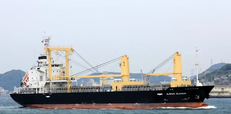 BOHWA PIONEER General Cargo IMO 9565869 photo 3