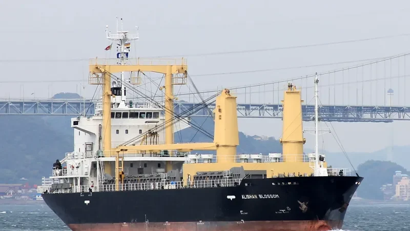 BOHWA PIONEER General Cargo IMO 9565869 photo 4