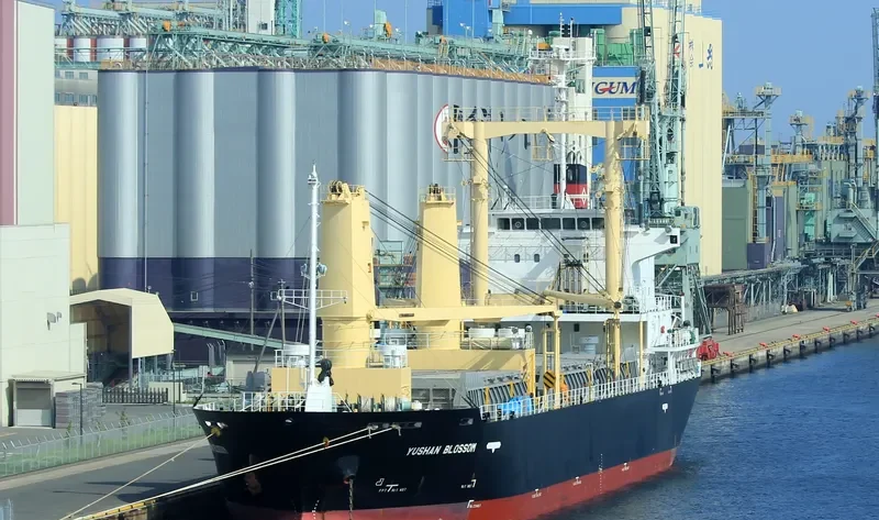 YUSHAN BLOSSOM General Cargo IMO 9565871