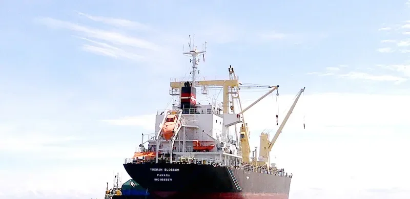 YUSHAN BLOSSOM General Cargo IMO 9565871 photo 3