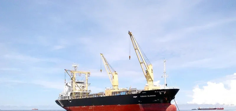 YUSHAN BLOSSOM General Cargo IMO 9565871 photo 4