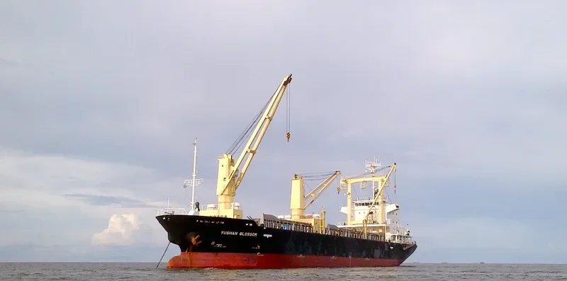 YUSHAN BLOSSOM General Cargo IMO 9565871 photo 6
