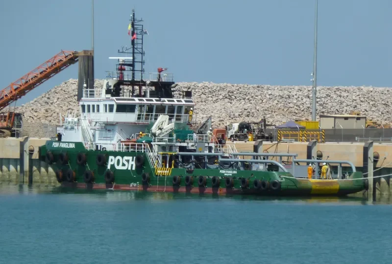 POSH PANGLIMA General Cargo IMO 9566007 photo 2